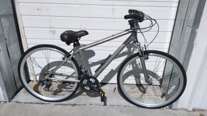 37" Schwinn Trailway (Gray) Bike