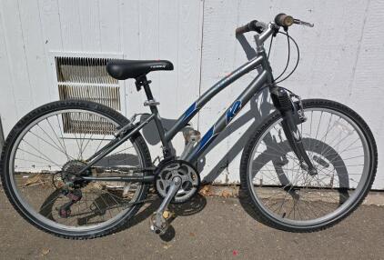 50" Seaside Terra (Silver) Bike