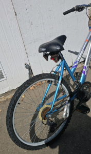 40" Mt SpirtSx (Silver & Purple) Bike