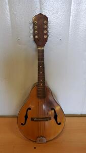 Vintage Mandolin