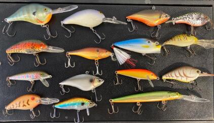 Case Of 24 Fishing Lures