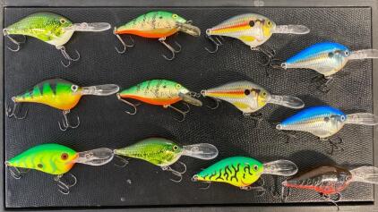 Case Of 12 Fishing Lures