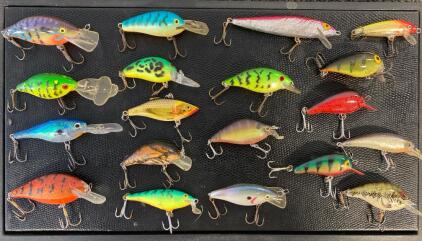 (2) Cases And 19 Fishing Lures
