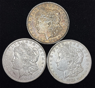 (3) 1921 Morgan Silver Dollar