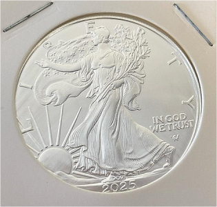 2025 Walking Liberty 1oz Fine Silver Dollar Coin