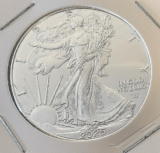 2025 Walking Liberty 1oz Fine Silver Dollar Coin