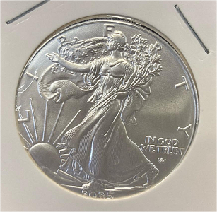 2025 Walking Liberty 1oz Fine Silver Dollar Coin