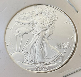 2025 Walking Liberty 1oz Fine Silver Dollar Coin