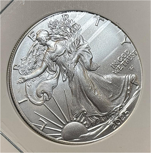 2025 Walking Liberty 1oz Fine Silver Dollar Coin