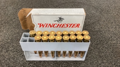 (17) rnds of 7.62 x 54R Winchester Ammo