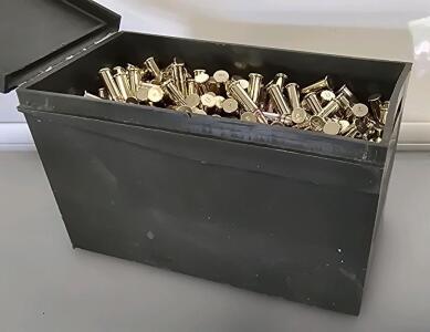 (600) Rounds .22LR Rounds