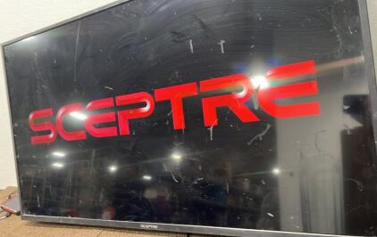 48 &ldquo;Sceptre TV