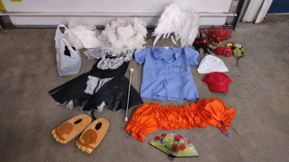 Assorted Halloween Costumes