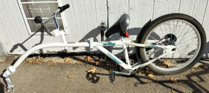 20in Co Pilot WeeRide Bike