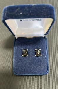 (1) Montana Silversmith Black Stone Earrings