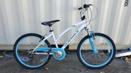 24" Glendale Tween/Adult Girl's Bike, (White with Blue Accents.)
