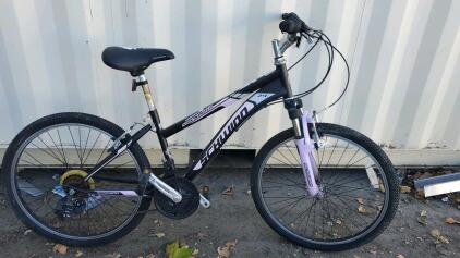 24" Schwinn Sidewinder Mountain Bike ( Black And Purple)