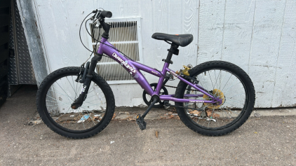 (1) 20in Diamondback Tess2.0 Bike (Purple)