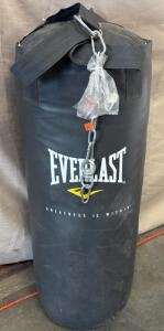 Everlast Punching Bag