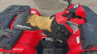 2012 POLARIS SPORTSMAN 400 HO - 8