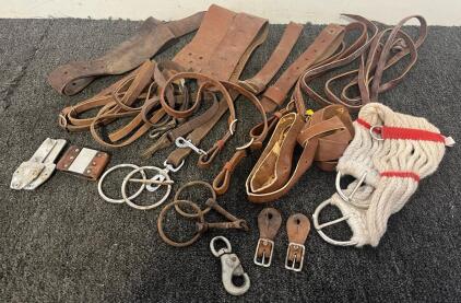 Collection Of Leather Horse Tack