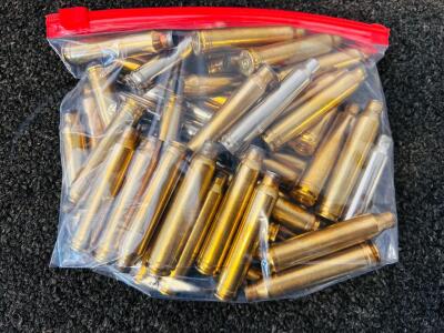 (50) Count 300 Win Mag Brass Casings