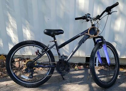 Schwinn 24" 21-speed Bike, black & purple