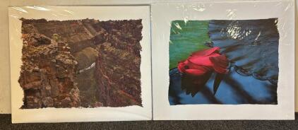 (2) Beautiful Professional Photographs By Wayne Kidwell (Former Idaho Supreme Court Justice)