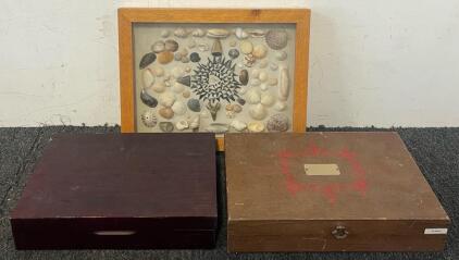 Framed Shells & Marine Life Teeth, Wooden Decorative Boxes & Stickers / Patches