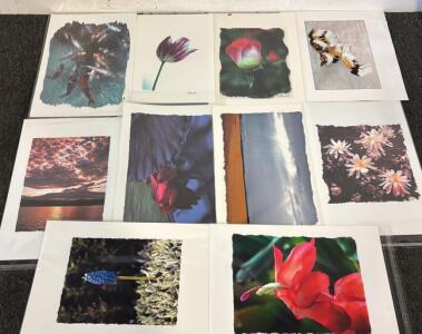 (10) Canvas Photography Prints By Wayne Kidwell (Former Idaho Supreme Court Justice)