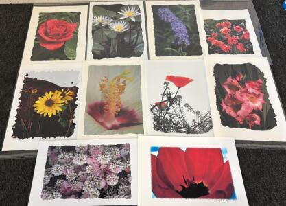 (10) Canvas Photography Prints By Wayne Kidwell (Former Idaho Supreme Court Justice)