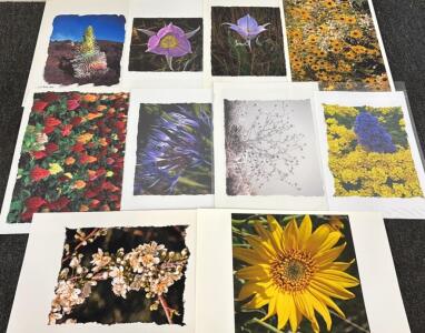 (10) Canvas Photography Prints By Wayne Kidwell (Former Idaho Supreme Court Justice)
