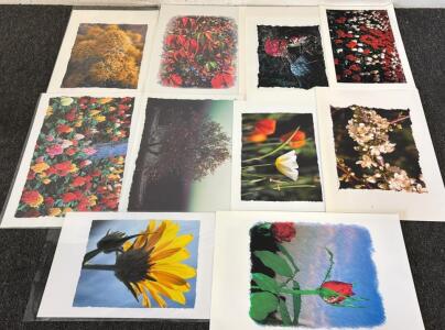 (10) Canvas Photography Prints By Wayne Kidwell (Former Idaho Supreme Court Justice)