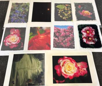 (10) Canvas Photography Prints By Wayne Kidwell (Former Idaho Supreme Court Justice)