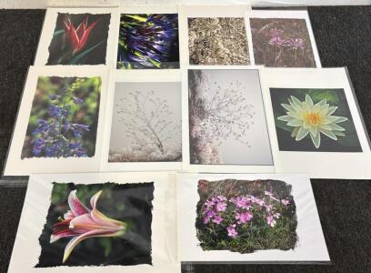 (10) Canvas Photography Prints By Wayne Kidwell (Former Idaho Supreme Court Justice)