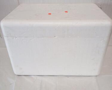 EccoBox Styrofoam Biodegradable Foam Cooler 24"X17"X16"