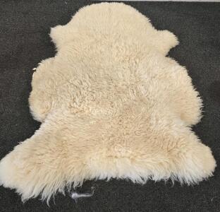 Tanned Sheep Skin- Appox. 42"x27"