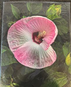 (10) Canvas Photography Prints By Wayne Kidwell (Former Idaho Supreme Court Justice)