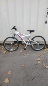 Dynacraft Girls' 24" NEXT Gauntlet Bicycle.
