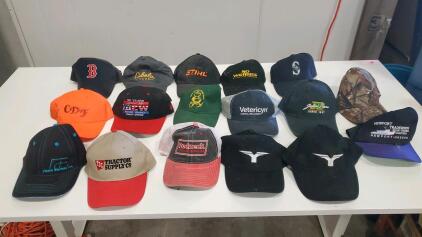 17 Assorted Hats