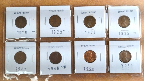 (8) Wheat Pennies