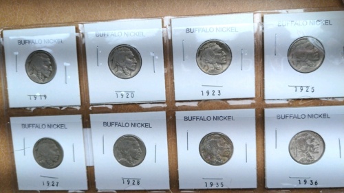 (8) Buffalo Nickels