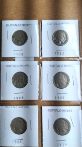 (6) Buffalo Nickels