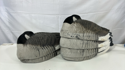 (6) Greenhead Gear Sleeper Pack Half Shell Canada Goose
