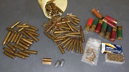 Assorted Rounds - Casings - Slugs