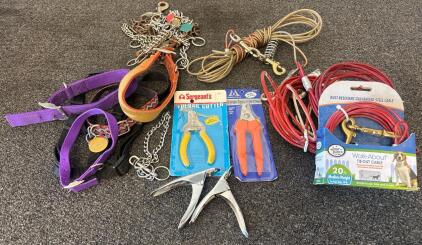 Dog Care Lot!