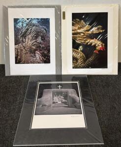 &ldquo;Saint Francis of Asis&rdquo;, Albert Einstein Statue, & Chinese Dragon Statue Professional Photographs by Wayne Kidwell
