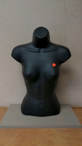 Women's Shirt Display
