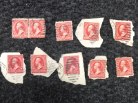 (10) 1890’s George Washington 2 Cent Stamps