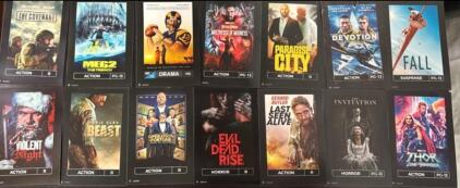 (20) Random Redbox DVD&rsquo;s